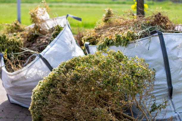 Best Residential Junk Removal  in Northfield, MN